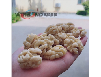 試機----全自動去皮生產流水線