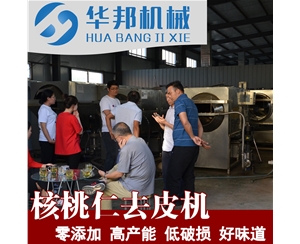 商家優良合作 核桃仁去皮清洗機 核桃仁脫皮機