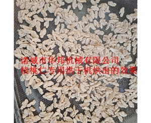 大產量核桃仁烘干機