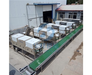 現貨核桃仁去皮機