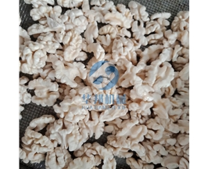 自動化生產核桃仁去皮機