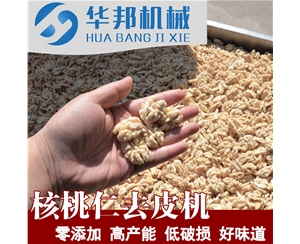 核桃仁去皮機  制作核桃粉需求設備 核桃仁脫皮機