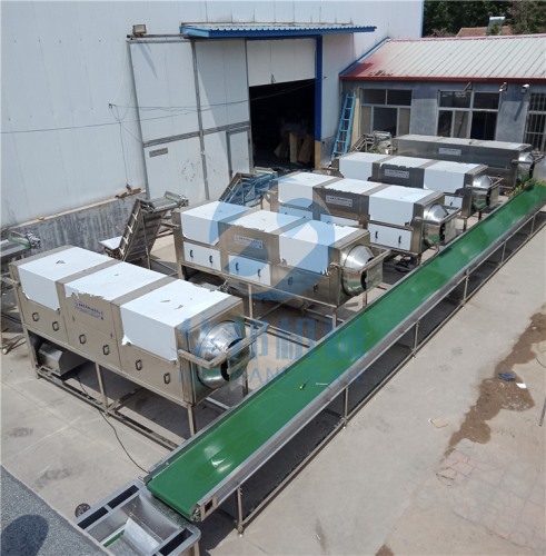 核桃仁去衣機  核桃乳核桃油生產設備