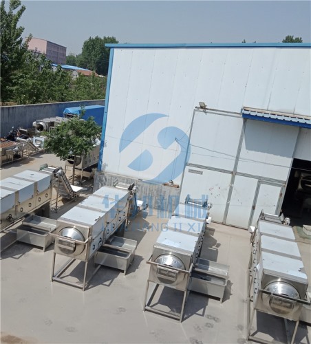 現場操作試機 核桃仁去皮機