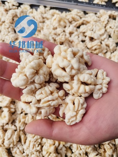 核桃仁脫皮機 核桃仁去皮清洗機
