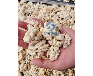純物理 核桃仁去皮機 核桃仁剝皮機