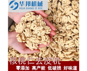 省175人 核桃仁去皮機