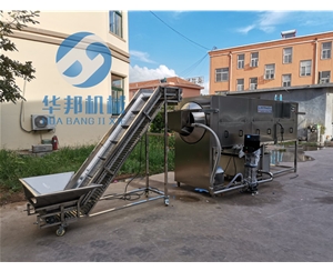 循環水 核桃仁去皮機 大型核桃仁去皮機