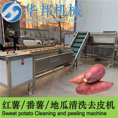 現貨紅薯清洗流水線