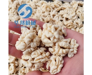 核桃仁加工設備 節水核桃仁去皮機
