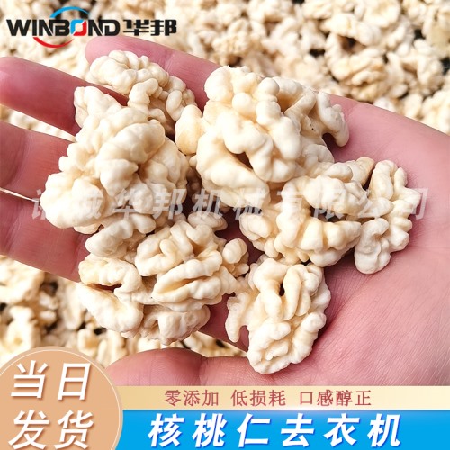核桃仁去皮機(jī) 核桃仁去皮流水線