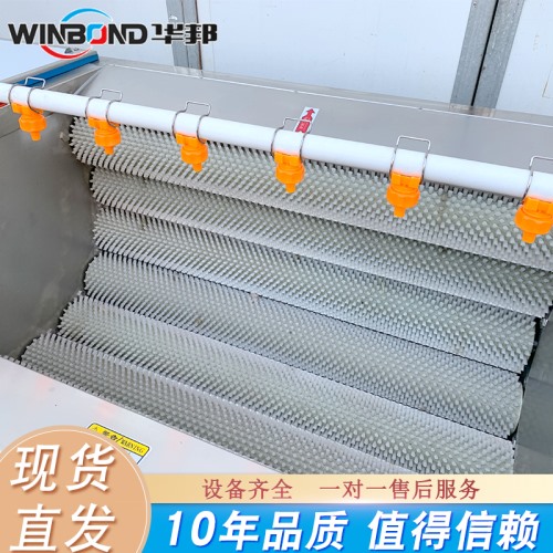 鐵桿山藥去皮清洗機 華邦機械 山藥前處理流水線