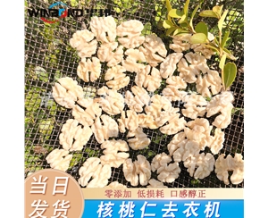 小型核桃仁去皮機 時產60公斤 價格優惠