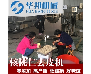 大型核桃仁去皮機 核桃仁去衣清洗機 優惠供應
