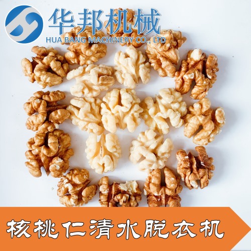 工廠現貨 華邦核桃仁去衣機 核桃仁加工成套設備