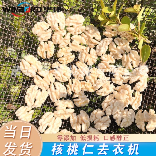 青島核桃仁去皮機 琥珀核桃仁去皮機 核桃仁深加工流水線