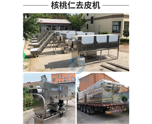 常規款核桃仁脫皮機 三種規格可選 物理核桃仁去皮機
