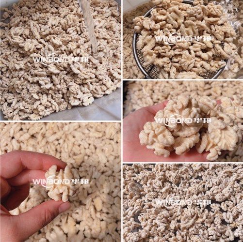 核桃仁去皮機規格齊全 華邦定制 核桃仁去皮流水線