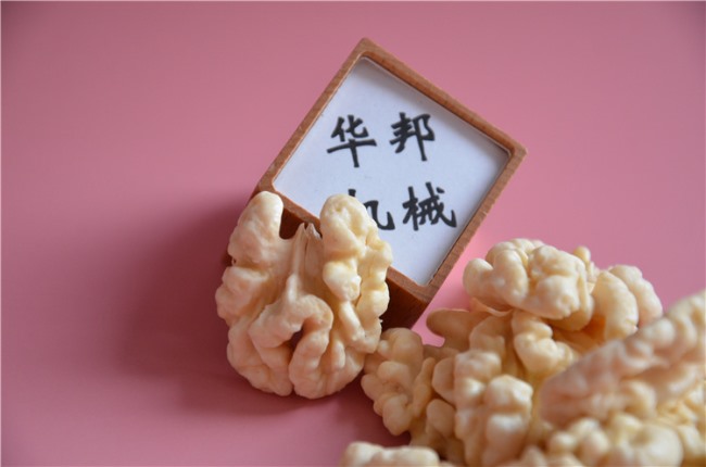 脫衣核桃仁設備 自動核桃仁去皮機 華邦研發(fā)生產(chǎn)