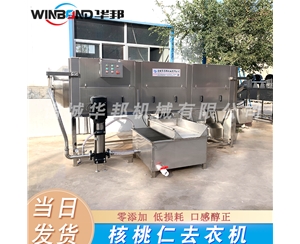 自動式 核桃仁脫衣機 連續生產 新疆核桃仁脫衣設備